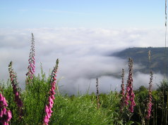 ber den Wolken in O Cebreiro