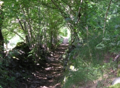 Auf schattigen Wegen nach St. Chly-d'Aubrac