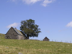 Haus in der Aubrac